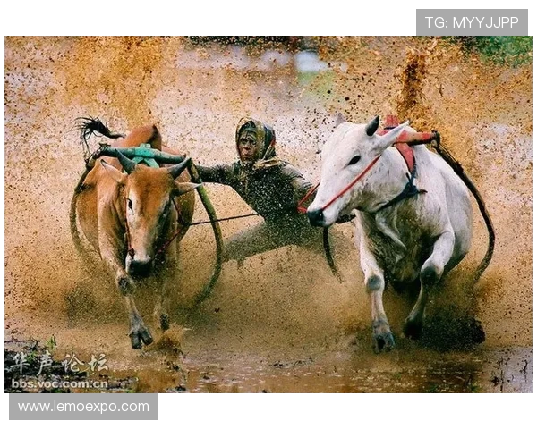 印尼军队与塞曼巴东的较量揭示东南亚安全局势新动态